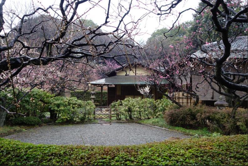 Shinjuku Gyoen Hana House Appartement